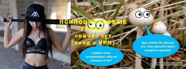 соль ск Верея