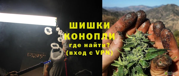 сатива Бугульма