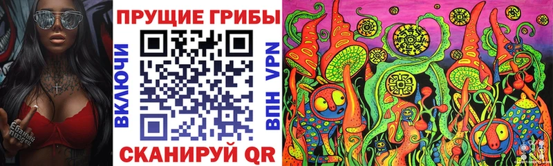 Купить закладки  Кинешма  Галлюциногенные грибы мицелий 